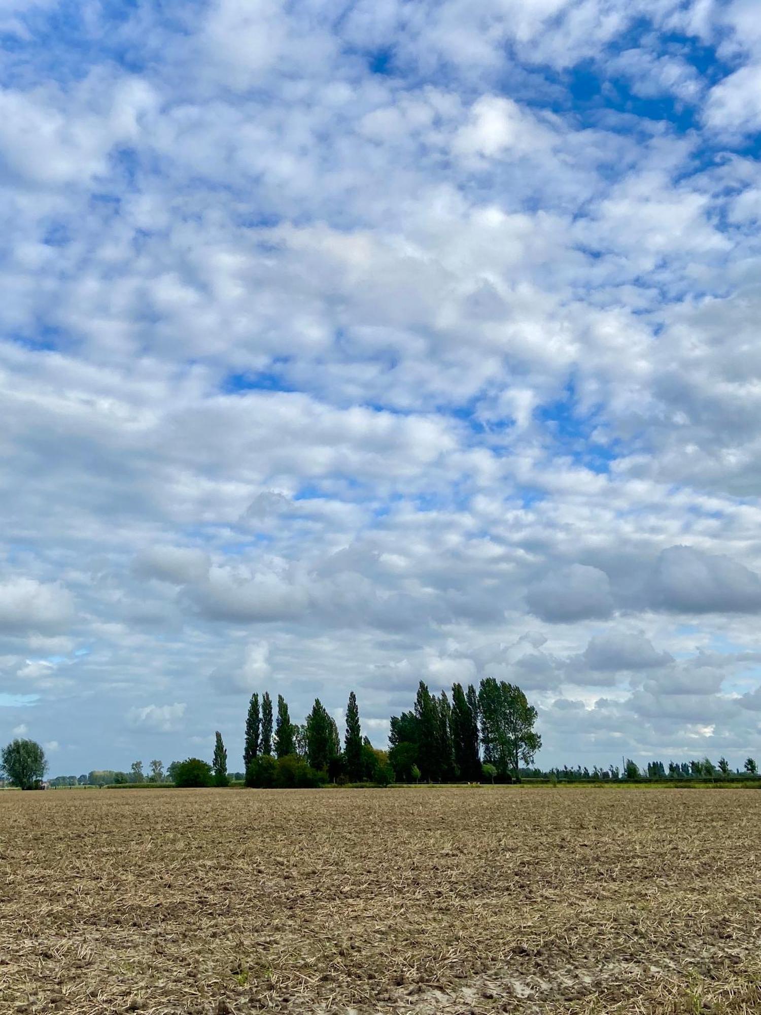 Gastenverblijf 'T Landsheertje Veurne Exterior foto